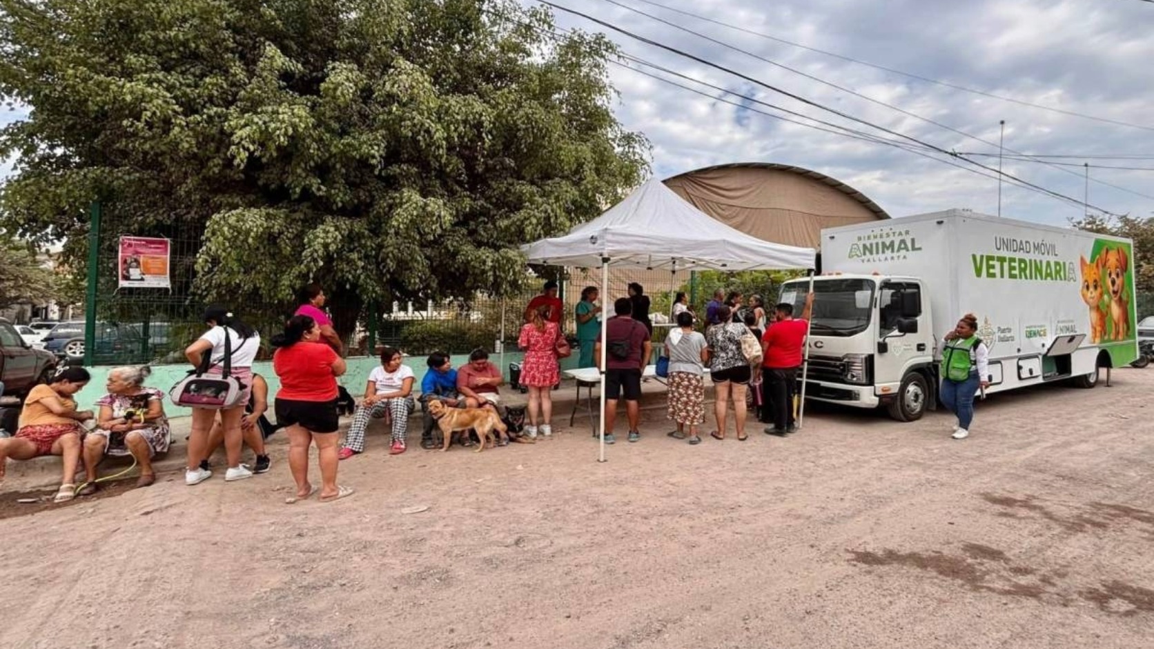 Puerto Vallarta Tops 1,000 Free Pet Sterilizations