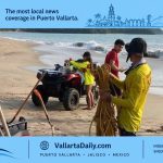 Sea Lion Found Dead at Higuera Blanca Beach in Nayarit