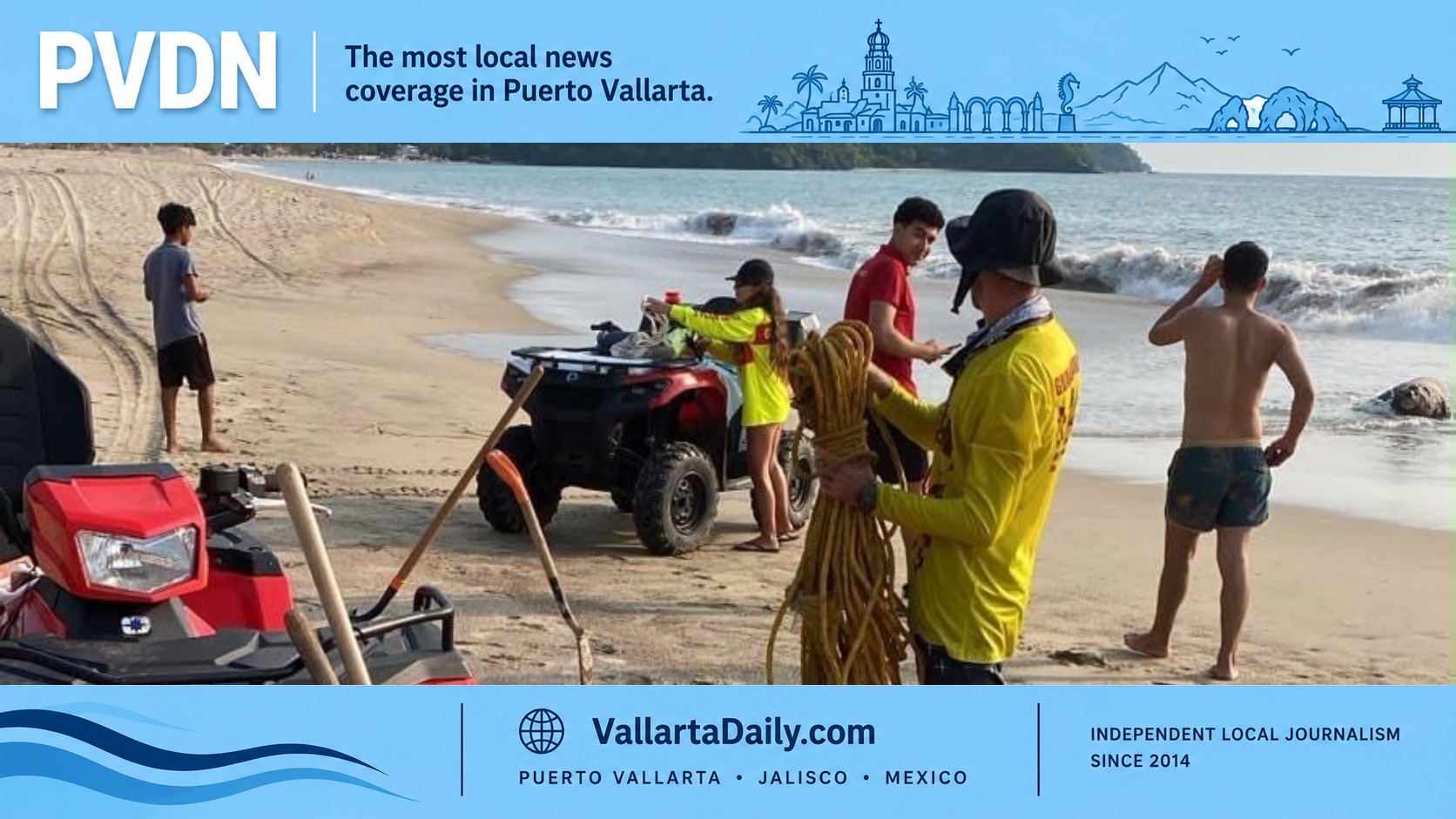 Sea Lion Found Dead at Higuera Blanca Beach in Nayarit
