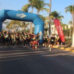 Tiny Vallarta turtle draws more than 1000 supporters