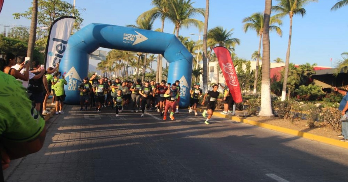 Tiny Vallarta turtle draws more than 1000 supporters