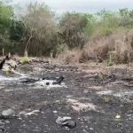 Wixárika leaders report damage at San Blas sacred site