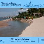 vallarta crocodile