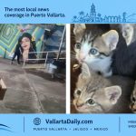 cat lady
