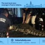 crocodile marina vallarta