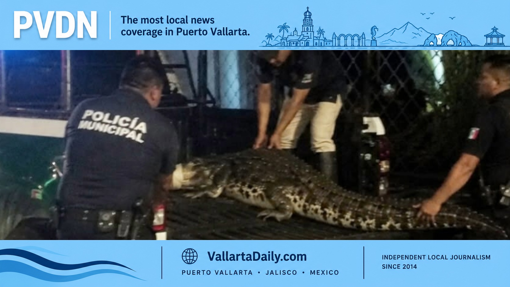 crocodile marina vallarta