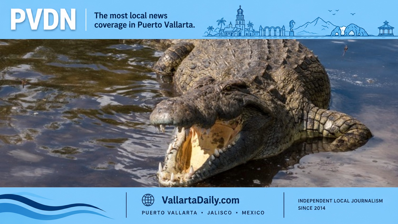 crocodile vallarta