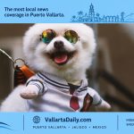 dog adoption