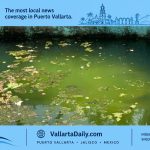 Stagnant Pool Raises Dengue Concern in Conchas Chinas