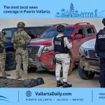 vallarta seize