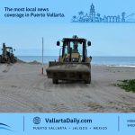 turtle nesting
