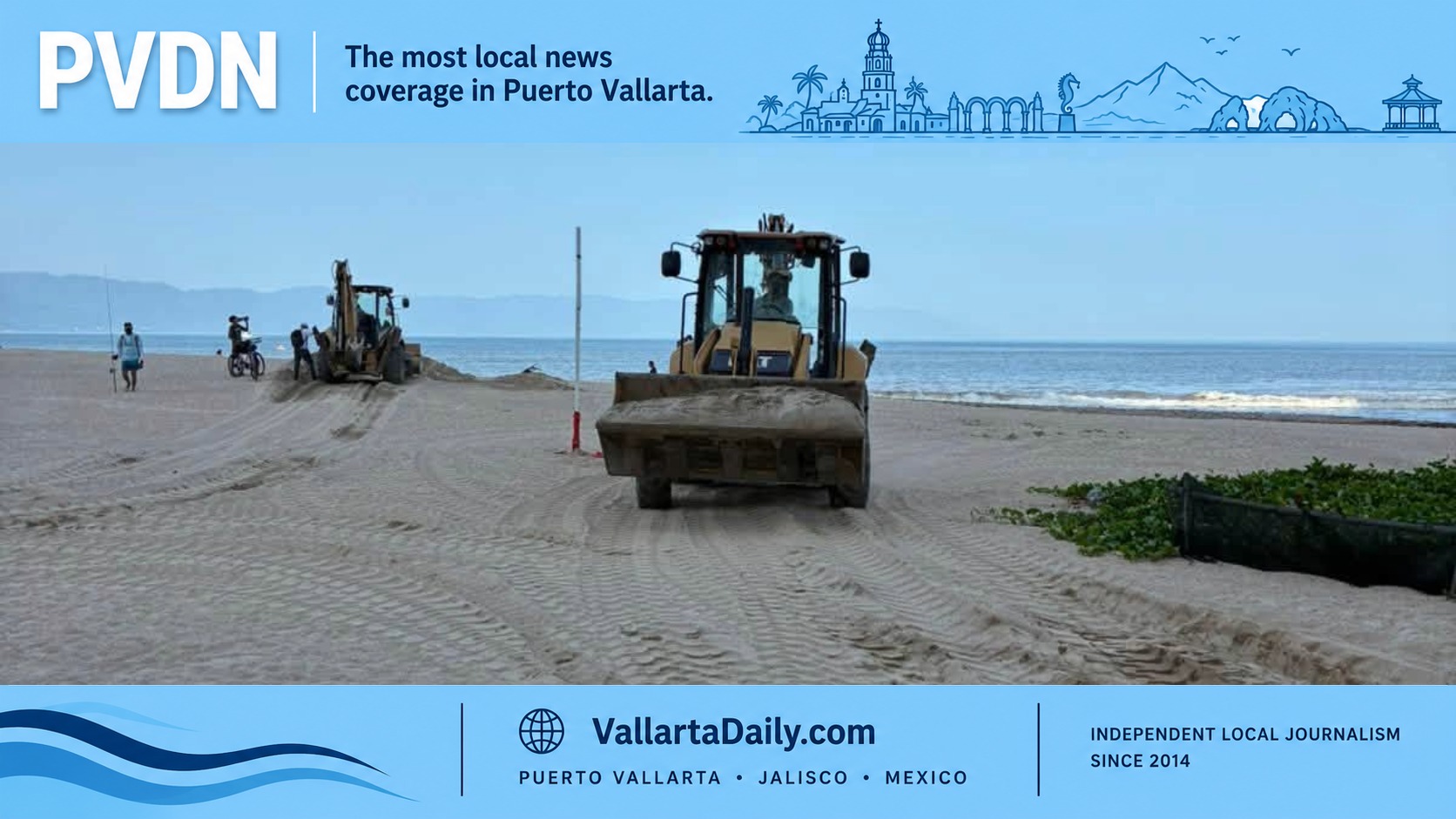 turtle nesting