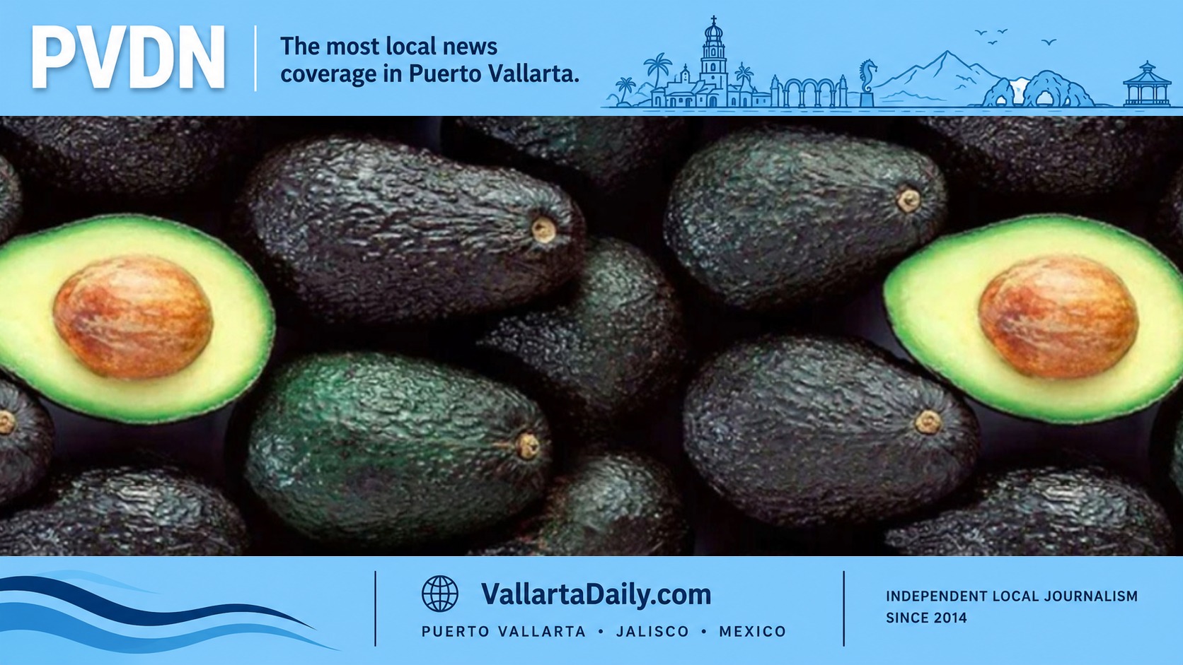 avocado