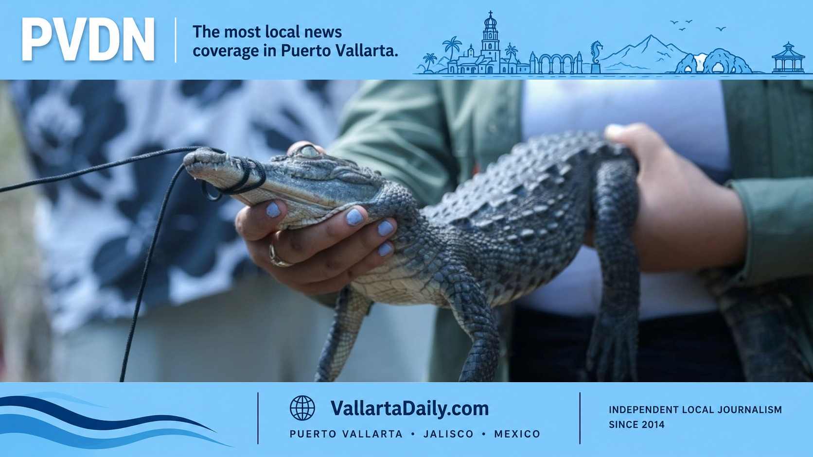 crocodile