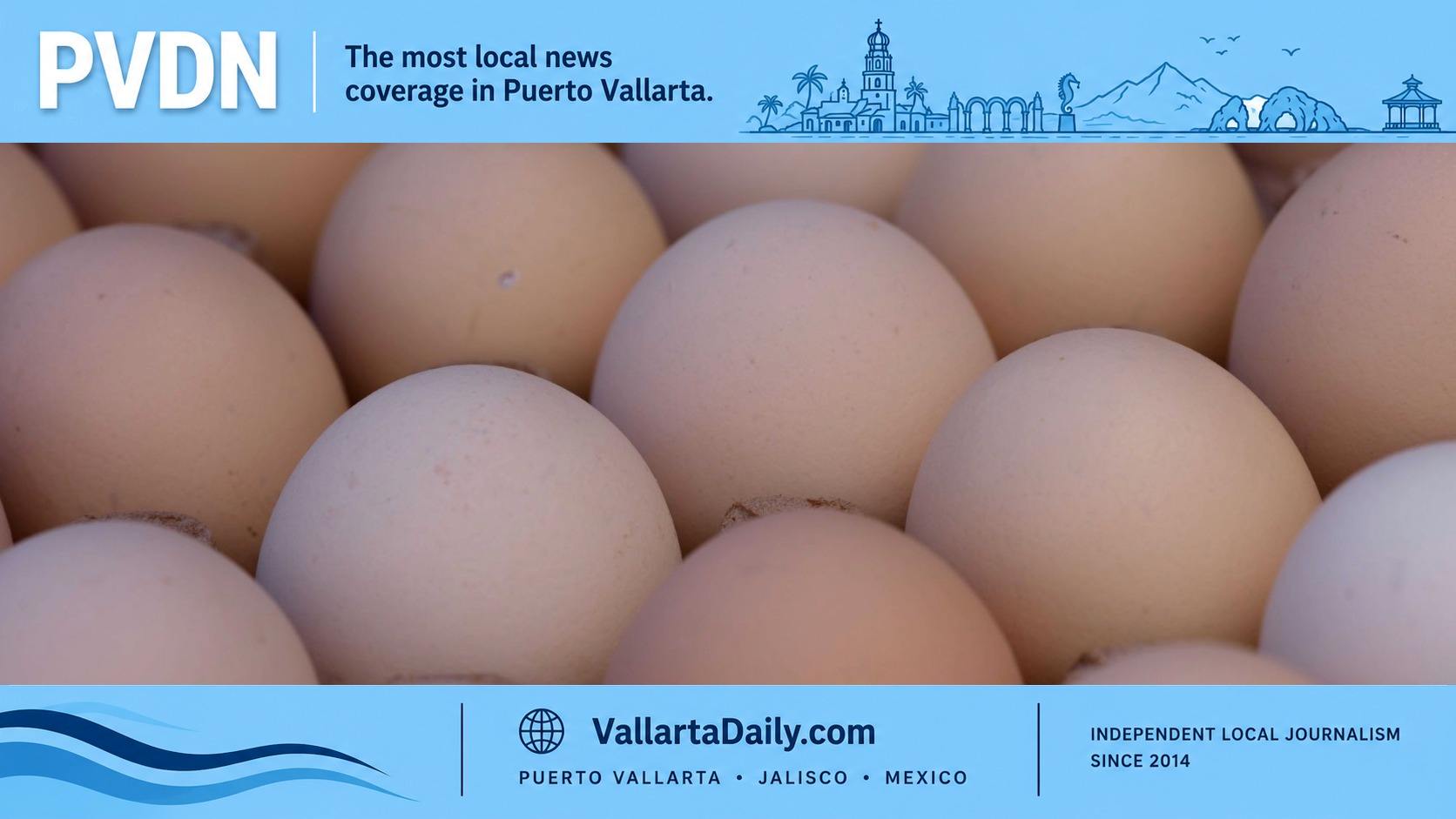 eggs
