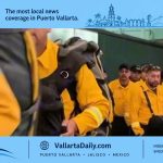 jalisco firefighters