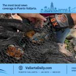 turtle rescue