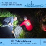 marina vallarta crocodile