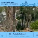 Marina Vallarta Golf Course Defends Tree Removal Plan