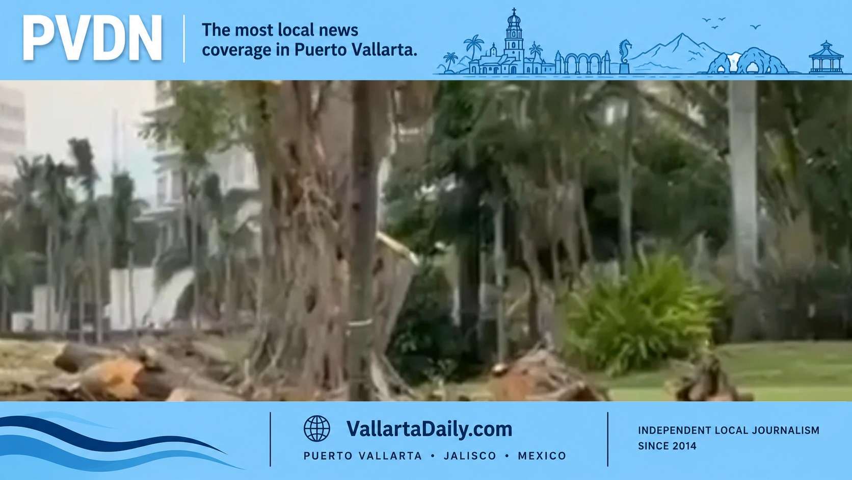 Marina Vallarta Golf Course Defends Tree Removal Plan