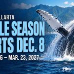 Puerto Vallarta Whale Season Set for December to March