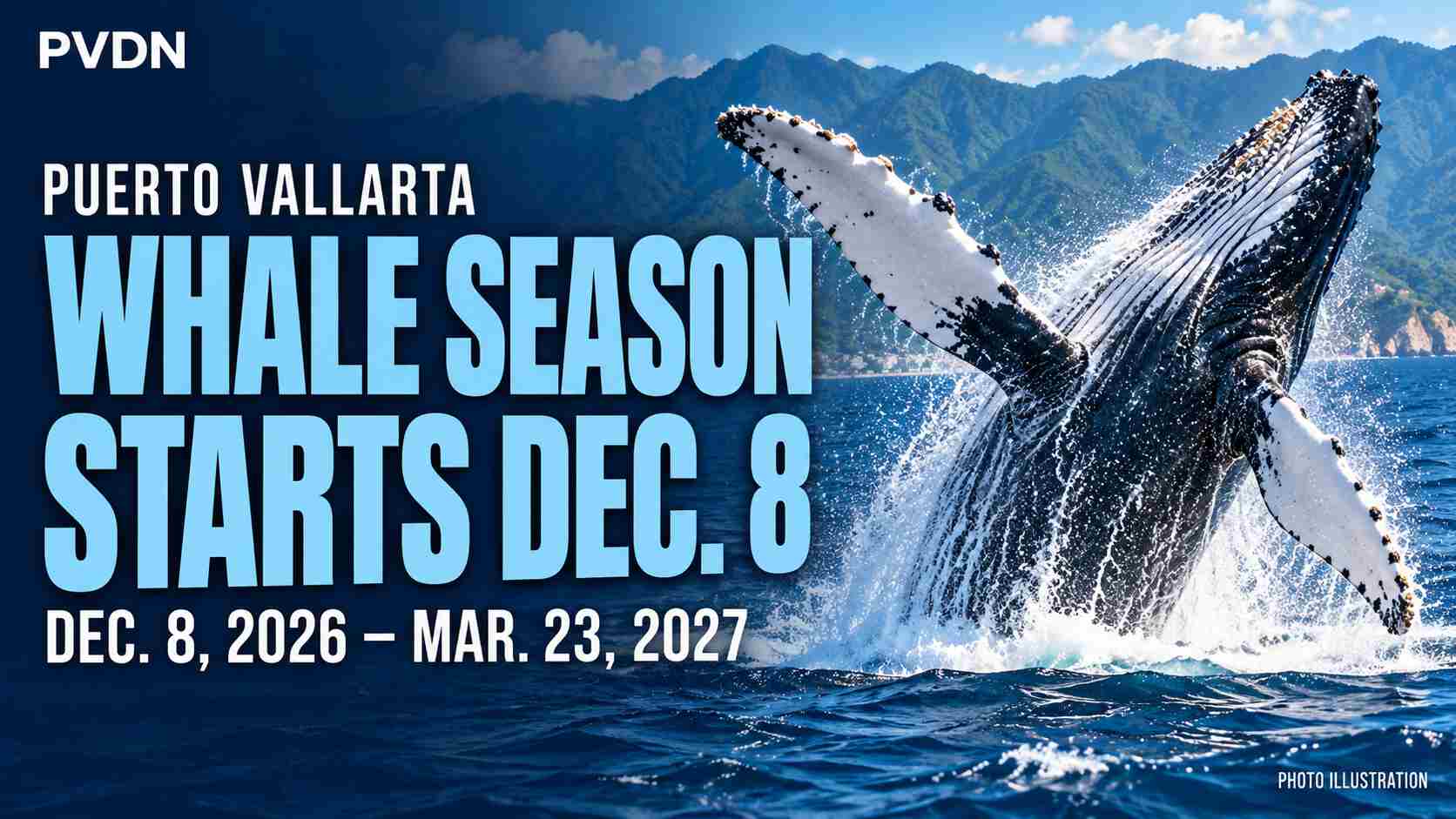 Puerto Vallarta Whale Season Set for December to March
